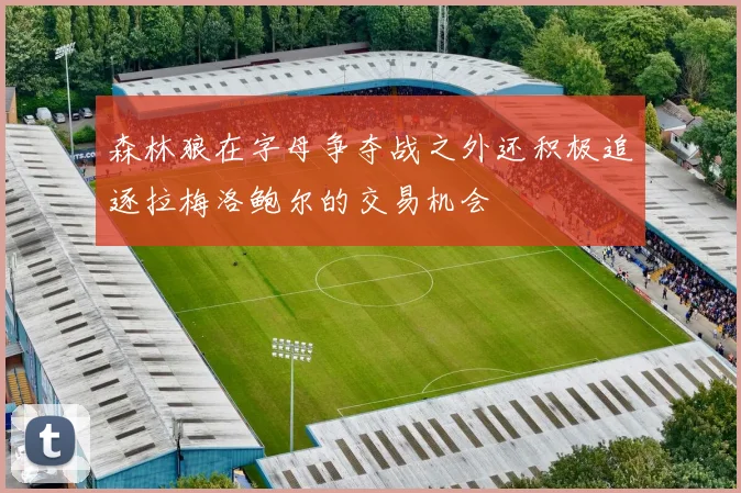 森林狼在字母争夺战之外还积极追逐拉梅洛鲍尔的交易机会