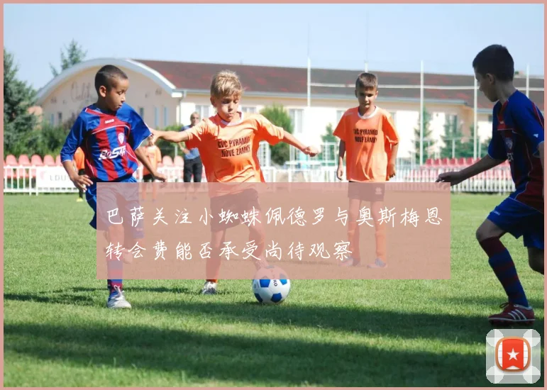 巴萨关注小蜘蛛佩德罗与奥斯梅恩转会费能否承受尚待观察