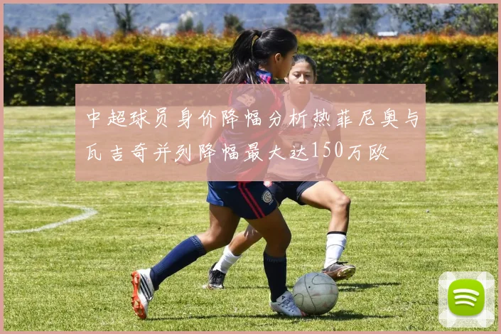 中超球员身价降幅分析热菲尼奥与瓦吉奇并列降幅最大达150万欧
